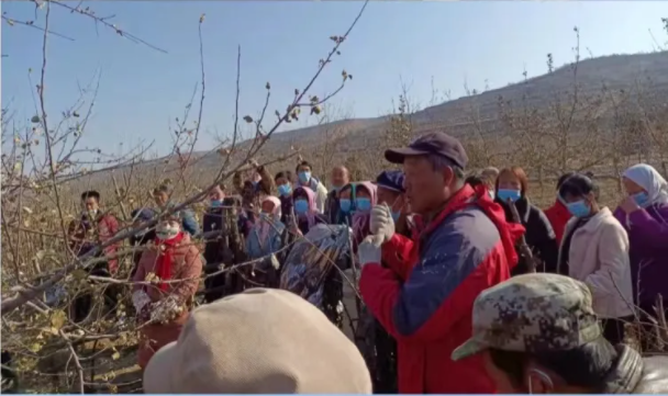 bevictor伟德在静宁帮扶村开展冬季果园管理培训(图2)