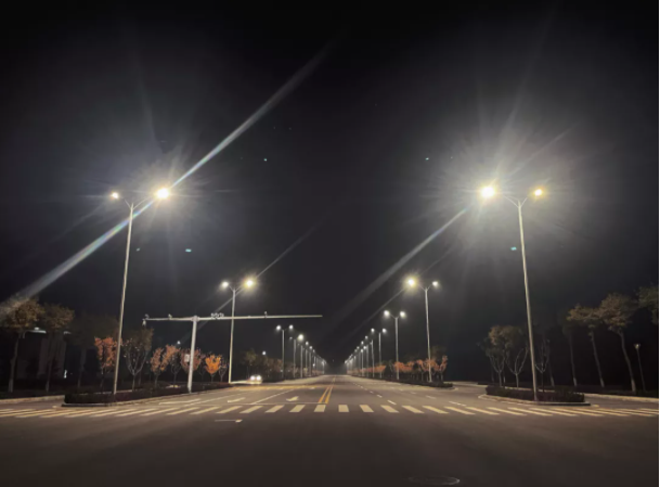 文明创建我先行——bevictor伟德积极组织参加全市志愿服务集中示范活动(图4)