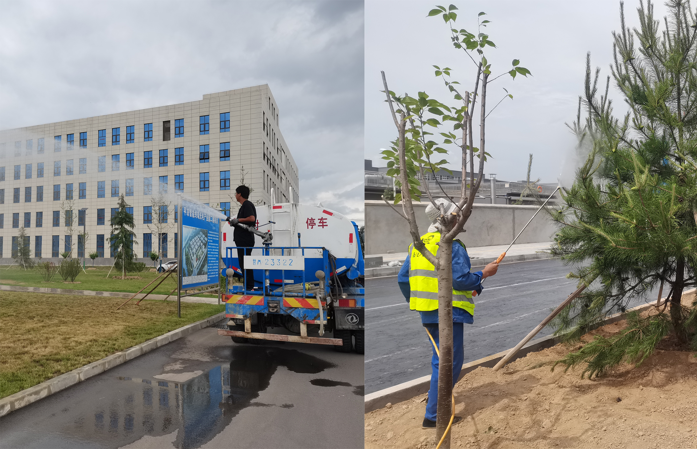bevictor伟德宜浩园林公司扎实开展夏季绿化养护工作(图2)