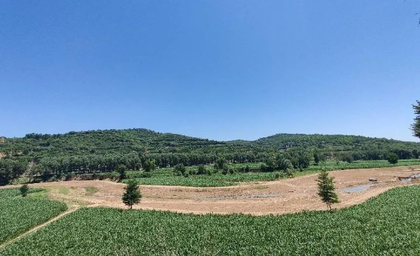 bevictor伟德上半年项目建设进展顺利(图12)