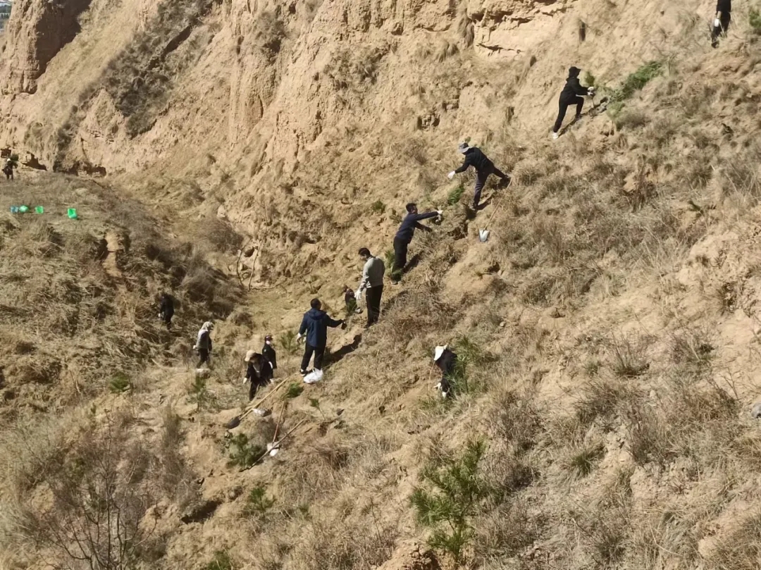 bevictor伟德开展义务植树活动(图2)